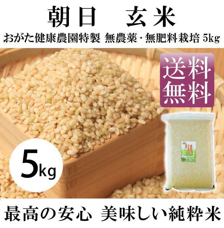 朝日 玄米（おがた健康農園特製 無農薬・無肥料栽培）5kｇ