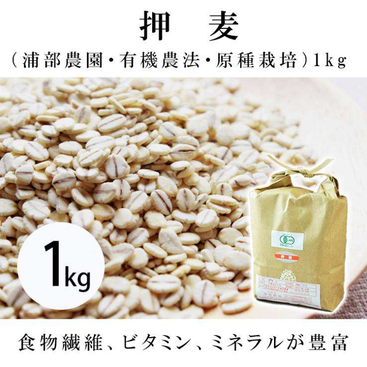 押麦（浦部農園・有機農法・原種栽培）１㎏　